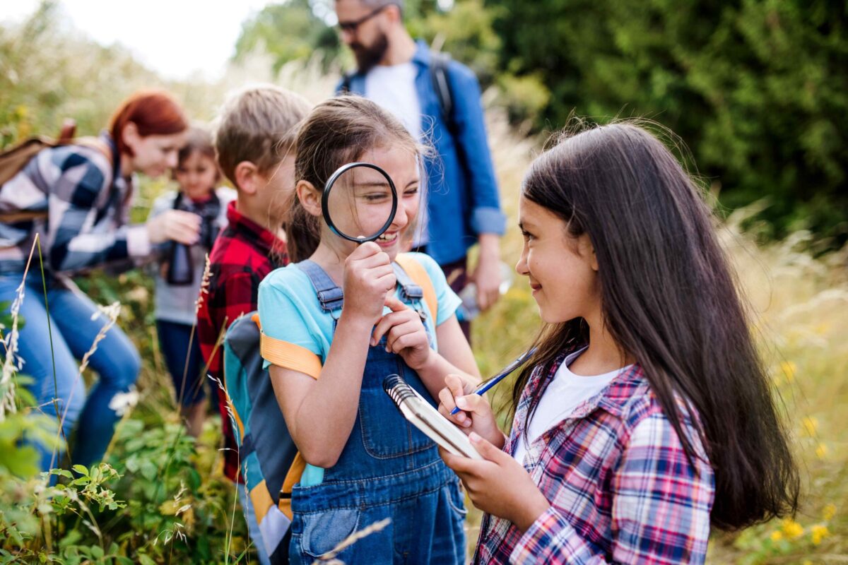 Ausbildung zum zertifizierten Wald-, Natur- und/oder Bauernhofpädagogen