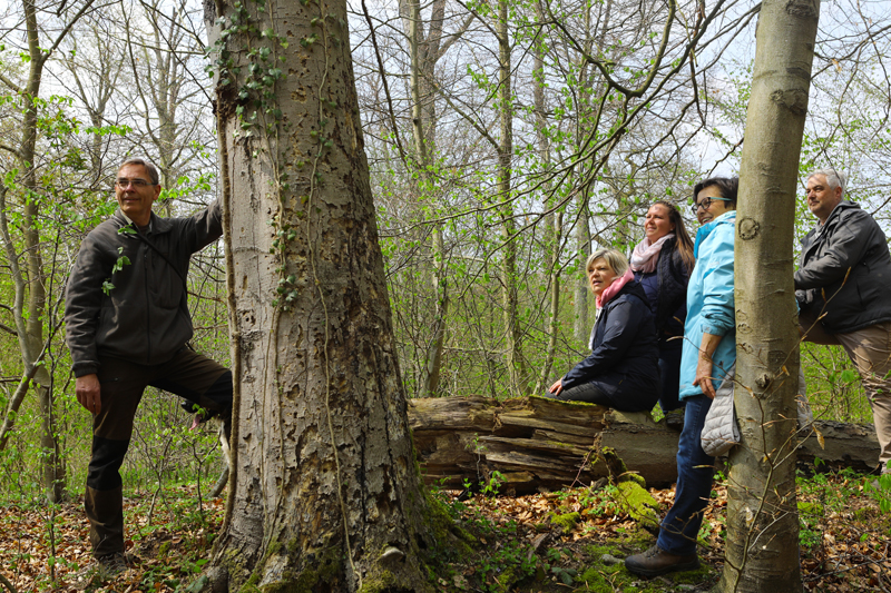 Jagd für Nichtjäger - Eintägiges Einstiegs- und Erlebnisseminar